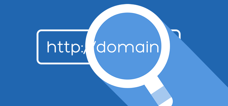 domain name search
