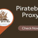 pirate proxy