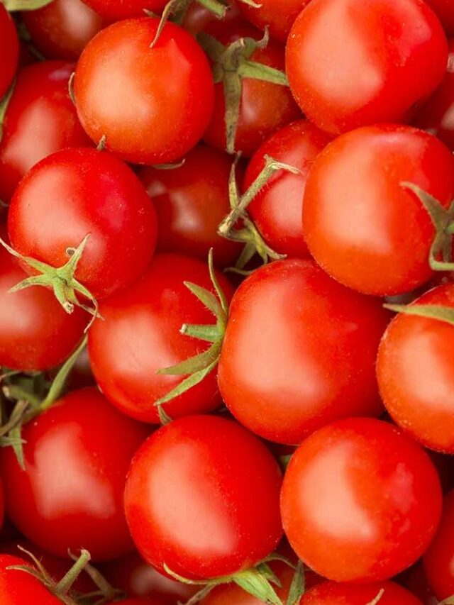 Tomatoes stolen in Bangalore