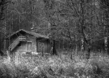 trails Carolina horror stories