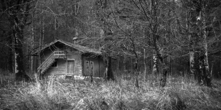 trails Carolina horror stories