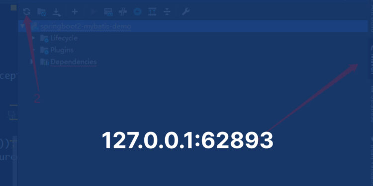 127.0.0.1:62893