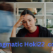 Pragmatichoki22.com