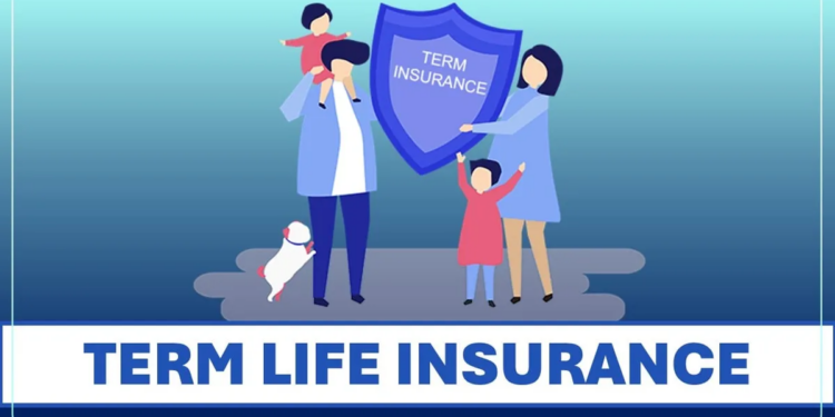 buy term insurance